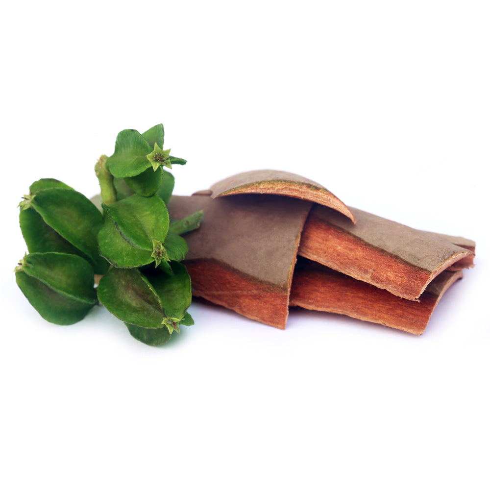 Arjuna Bark Extract