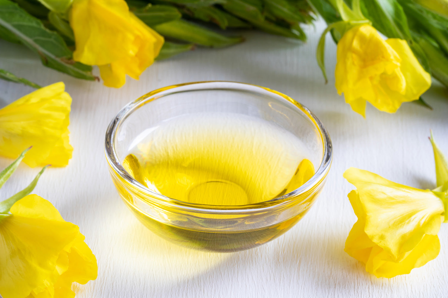 Evening Primrose Oil