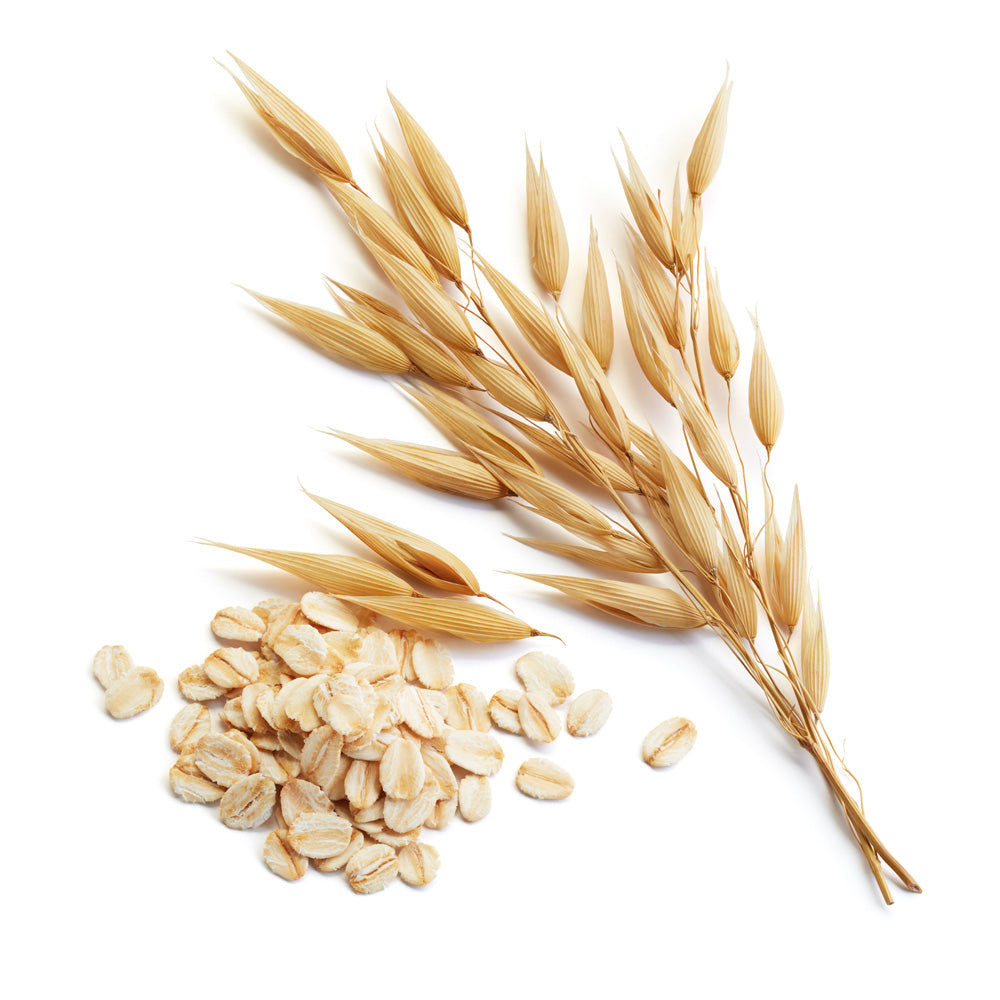 Oat Extract