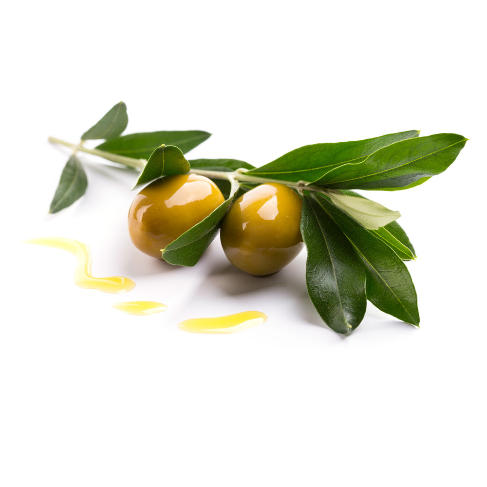 Olive Oil