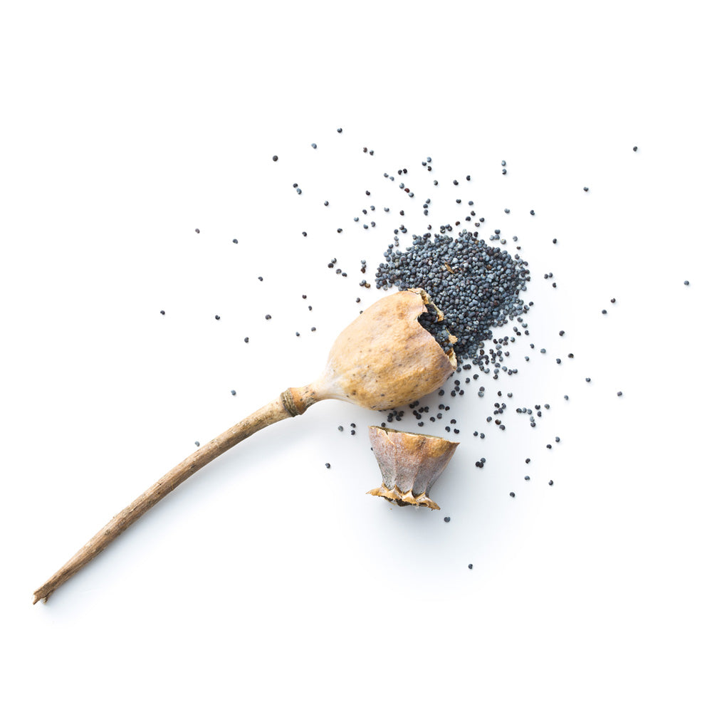 Poppy Seed Oil KINLÒ