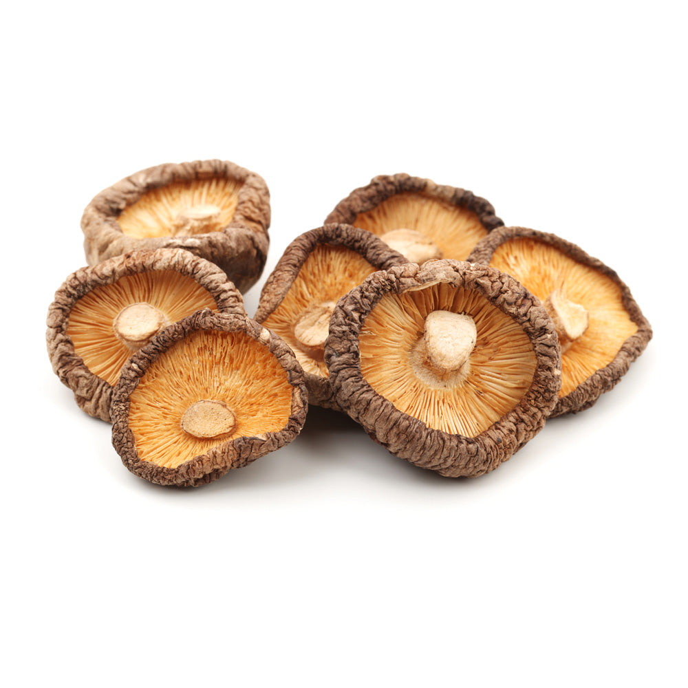 Shiitake Mushroom Extract